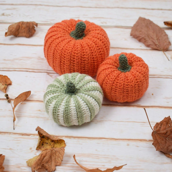 Zucche decorative – Rotonde
2