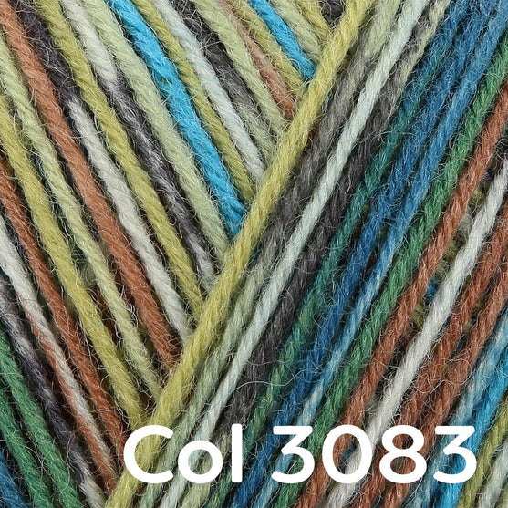 Regia 4-ply Color - Regia
27