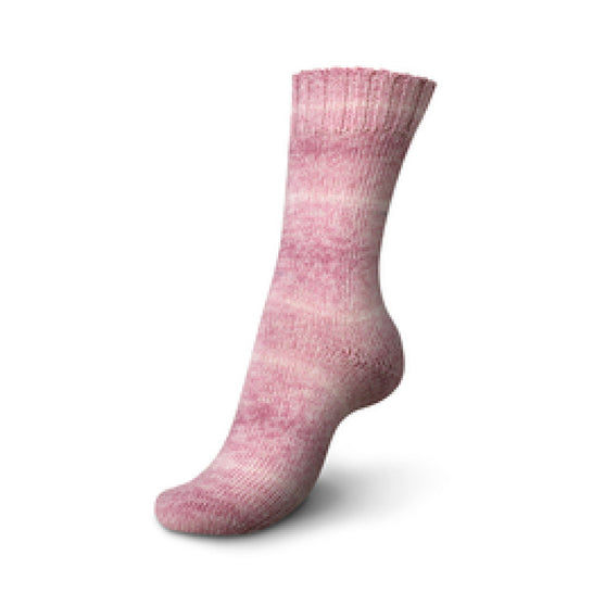 Regia Premium Silk Color 4-ply - Regia
8