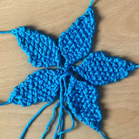 Steffy Starfish
2
