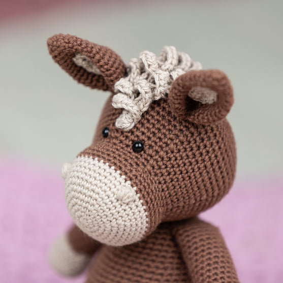 L’asinella Hilda
3