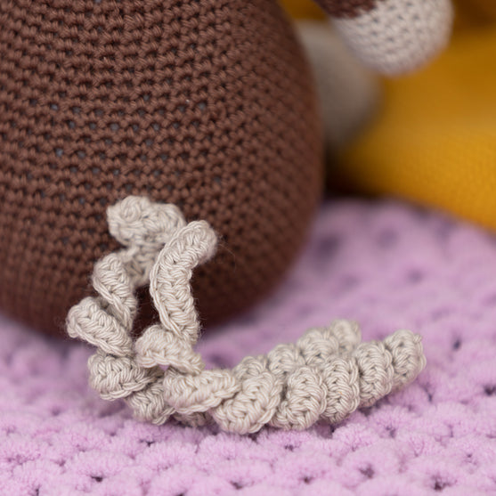 L’asinella Hilda
5