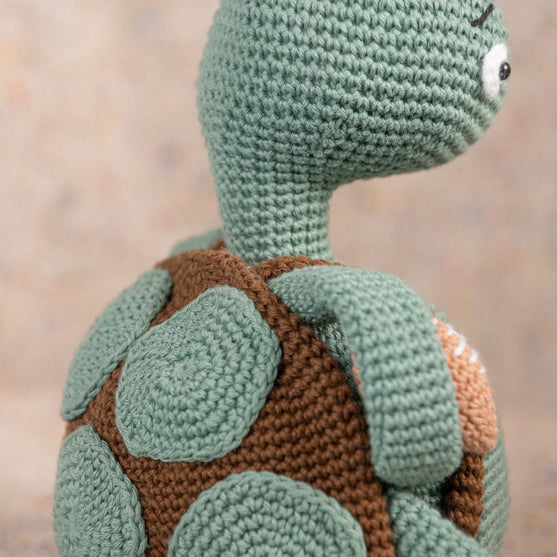 Theo la Tarataruga
4