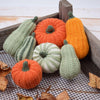 

Zucche decorative - Lunghe
3