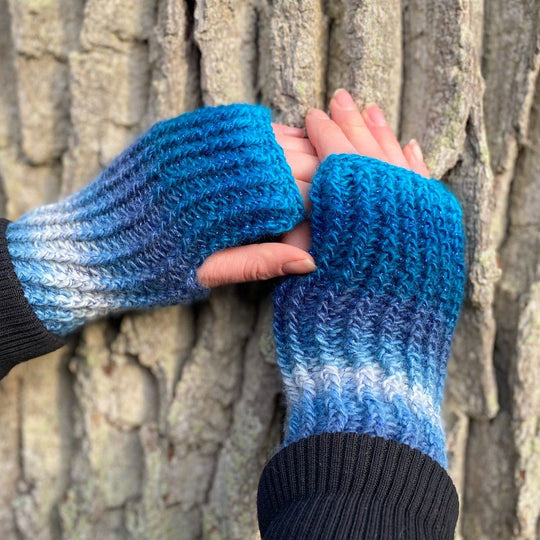 Havskum - Scladapolsi