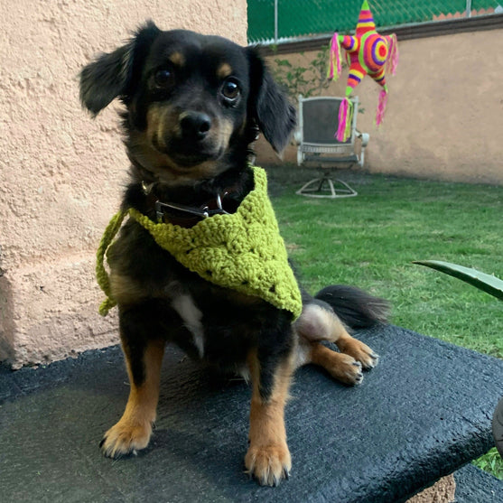 

Cuddly Wrap - Bandana per cane
5