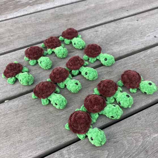 

Rainbow Turtles - Gioco Memory
12