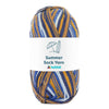 

Summer Sock Yarn - Hobbii
21