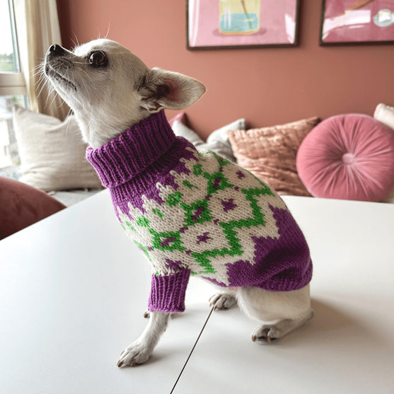 

Chihuahua - Maglione per cani
3