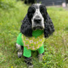 

Cocker Spaniel - Maglione per cani
1