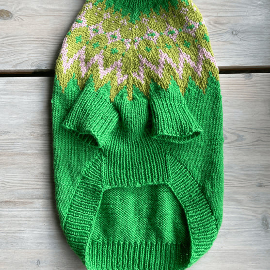 

Cocker Spaniel - Maglione per cani
5