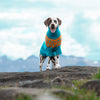 

Dalmata - Maglione per cani
1