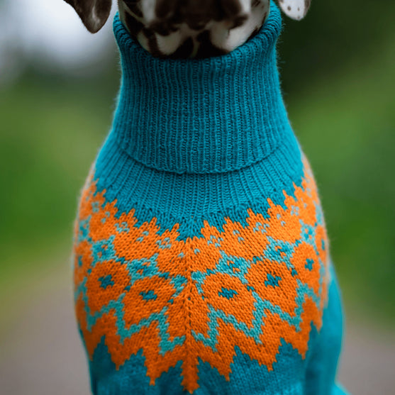 

Dalmata - Maglione per cani
3
