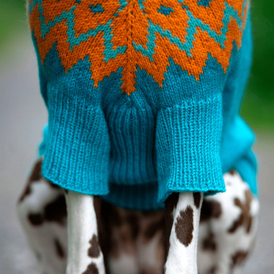 

Dalmata - Maglione per cani
4