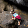 

Yorkshire Terrier - Maglione per cani
2