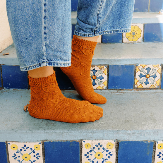 

Oak Seed - Calzini
3