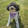 

Millie’s - Bandana per cane
1