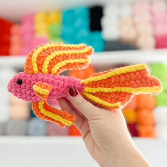 

Avery il Betta Pesce
2