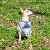 

Gina - Bandana per cani
1