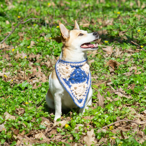 

Gina - Bandana per cani
1