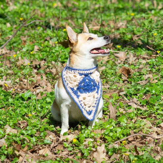 Gina - Bandana per cani