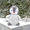 

Il pinguino Pippo
1