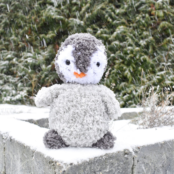 

Il pinguino Pippo
1
