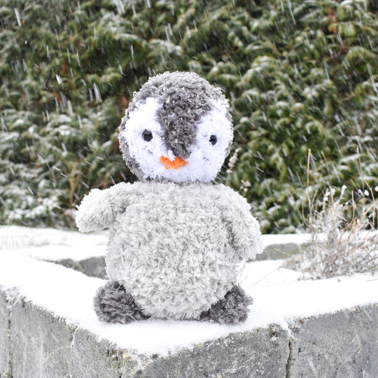 Il pinguino Pippo