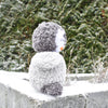 

Il pinguino Pippo
3
