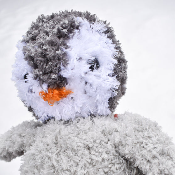 

Il pinguino Pippo
5