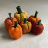 

Mini-zucche - Piccole zucche decorative
7
