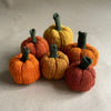 

Mini-zucche - Piccole zucche decorative
1