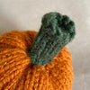 

Mini-zucche - Piccole zucche decorative
4