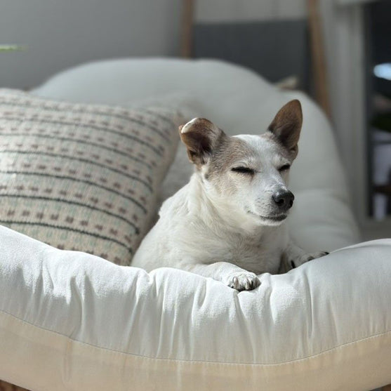 

Homebody - Federa per cuscino
6