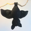 

Pipistrello Bernard
4
