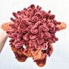 

Max - Animaletto di peluche
3