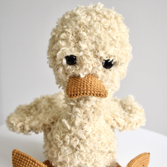 

L’anatroccolo Pippin
2