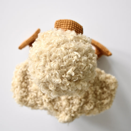 

L’anatroccolo Pippin
3