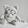 

Il gatto Misse
2