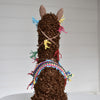

L’alpaca Pico
9