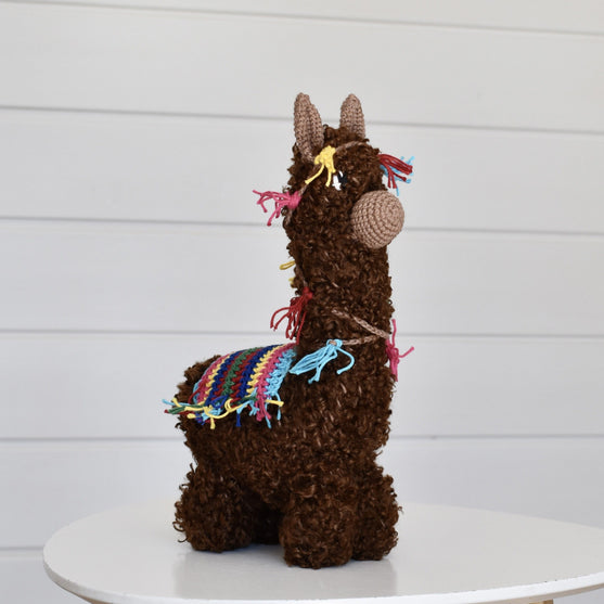 

L’alpaca Pico
1