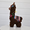 

L’alpaca Pico
4