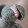 

L'elefante Evi
2