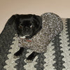 

Maglione Flemming Dog
2