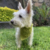 

Cuddly Wrap - Bandana per cane
4