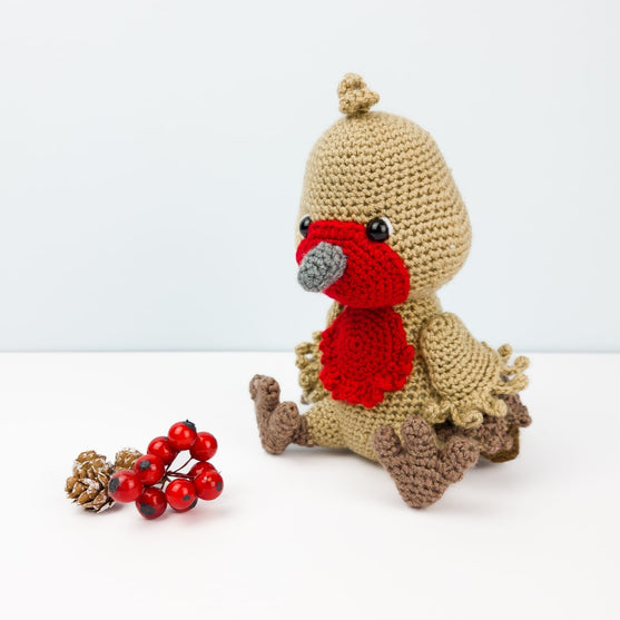 

Ruddock il Pettirosso
1