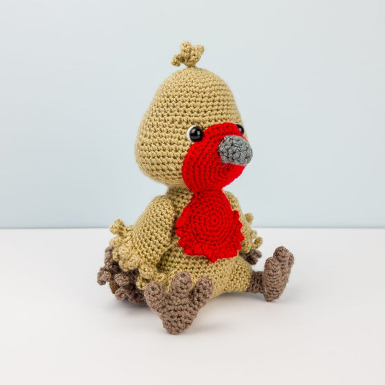 

Ruddock il Pettirosso
3