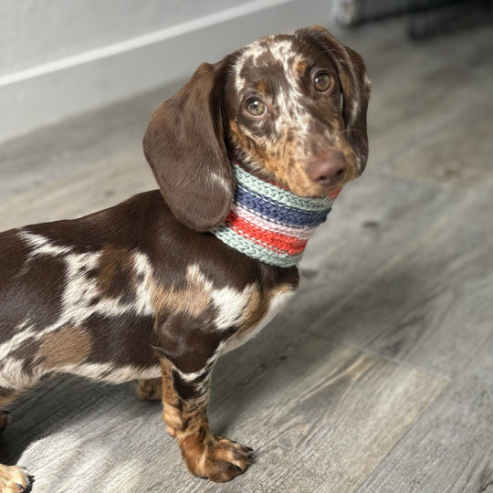 Wes - Sciarpa per cani