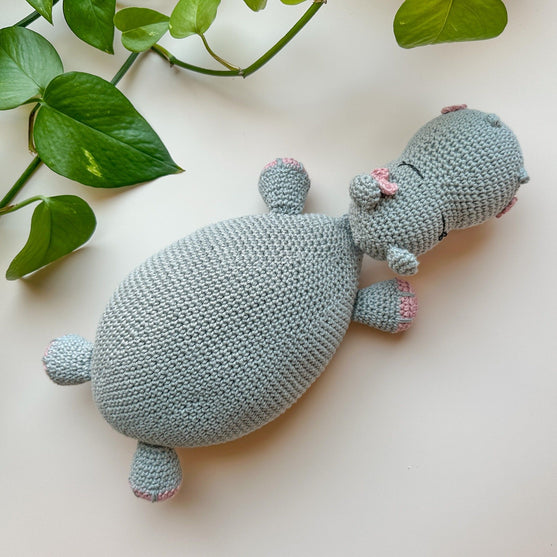 

Fiona Hippo - Copertina delle coccole
3