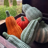 

Zucche decorative - Lunghe
1